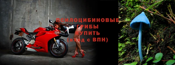 ГАЛЛЮЦИНОГЕННЫЕ ГРИБЫ Надым