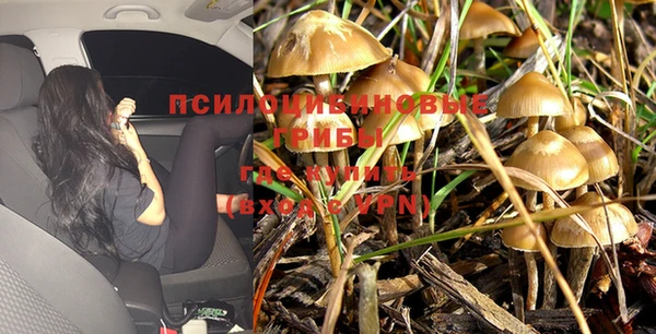 а пвп мука Навашино